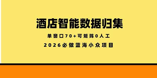 (18500期)酒店智能数据归集,小众蓝海已经稳定半年之久,单窗口70+零成本矩阵开干