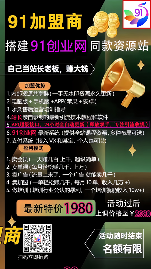 【001期】91创业网加盟商,开一个知识付费资源网站,小白也能月入5000+