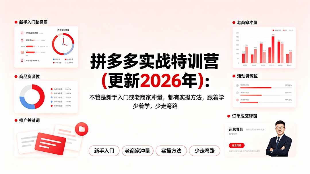 (19724期)拼多多实战特训营(更新2026年):不管是新手入门或老商家冲量,都有实操方法,跟着学,少走弯路