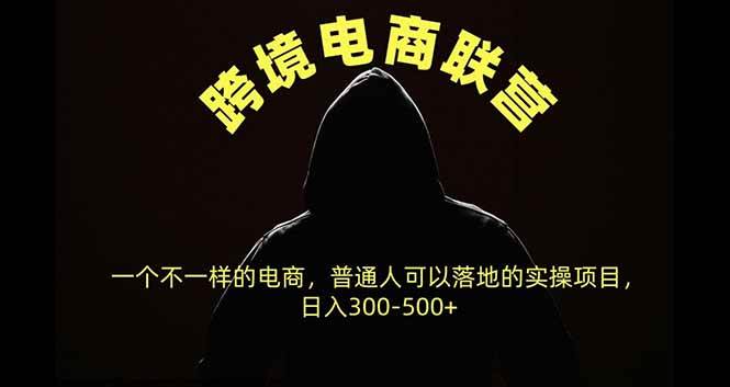(20702期)跨境电商联营,一个不一样的电商,普通人可操作日入300-500+