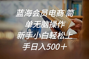 （11068期）蓝海会员电商 简单无脑操作 新手小白轻松上手日入500＋