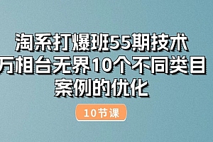 (10996期)淘系打爆班55期技术:万相台无界10个不同类目案例的优化(10节)