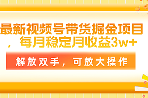 (11010期)最新视频号带货掘金项目,每月稳定月收益3w+,解放双手,可放大操作