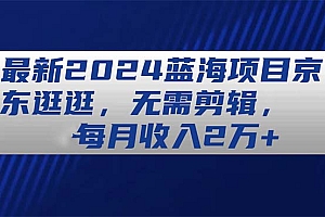 (11041期)最新2024蓝海项目京东逛逛,无需剪辑,每月收入2万+