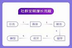 (11058期)社群-操盘手实战大课:社群 全局增长成交实战,小白到大神的进阶之路