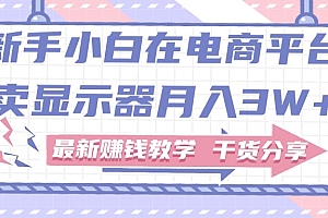 (11053期)新手小白如何做到在电商平台卖显示器月入3W+,最新赚钱教学干货分享
