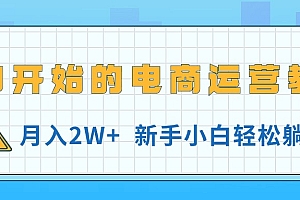 (11081期)从0开始的电商运营教学,月入2W+,新手小白轻松躺赚
