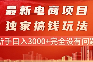 (11101期)最新电商项目-搞钱玩法,新手日入3000+完全没有问题