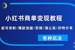 (11164期)小红书商单变现教程:起号涨粉/爆款选题/剪辑/蒲公英/好物分享/各种玩法