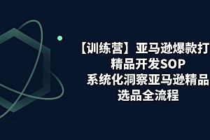 (11210期)【训练营】亚马逊爆款打造之精品开发SOP,系统化洞察亚马逊精品选品全流程