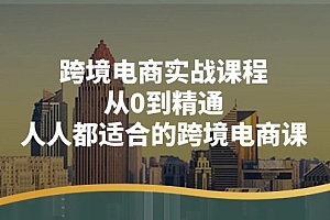 (11183期)跨境电商实战课程:从0到精通,人人都适合的跨境电商课(14节课)