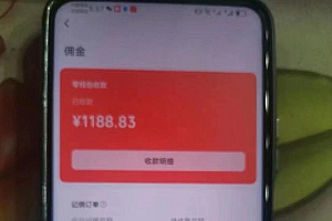 (11205期)视频号中年粉核心玩法 日收益2000+ 不投流小白轻松上手