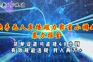 (11225期)全新6.0快手无人直播,磁力聚星小游戏暴力项目,简单设置,直播48小时…