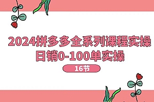 (11222期)2024拼多多全系列课程实操,日销0-100单实操【16节课】