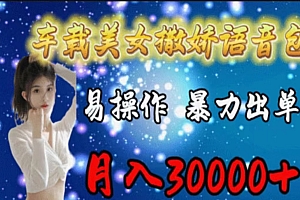 (11249期)车载美女撒娇语音包,执行就出单,月入3000+,小白看完课程就能马上实操