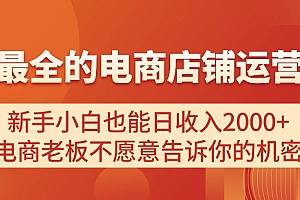 (11266期)电商店铺运营教学,新手小白也能日收入2000+,电商老板不愿意告诉你的机密