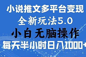 (11323期)2024年6月份一件分发加持小说推文暴力玩法 新手小白无脑操作日入1000+ …