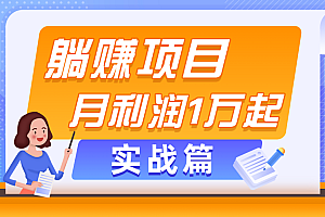 (11322期)躺赚副业项目,月利润1万起,当天见收益,实战篇
