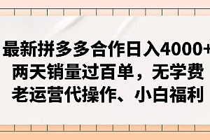 (11343期)最新拼多多合作日入4000+两天销量过百单,无学费、老运营代操作、小白福利
