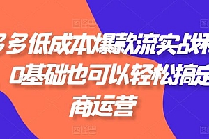 拼多多低成本爆款流实战私教课,0基础也可以轻松搞定电商运营