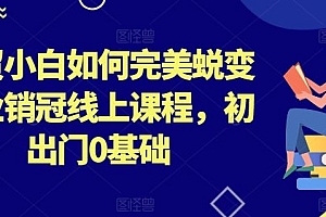 外贸小白如何完美蜕变行业销冠线上课程,初出门0基础