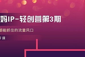 宝妈IP轻创营第3期,人人都能抓住的流量风口(21节课)