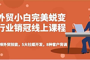 外贸小白完美蜕变行业销冠线上课程-7项外贸技能,5大社媒开发,8种客户背调
