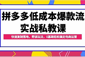 拼多多低成本爆款流实战私教课,快速复制落地,野派玩法,0基础轻松搞定电商运营