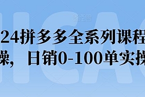 2024拼多多全系列课程实操,日销0-100单实操【必看】