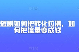 短剧如何把转化拉满,如何把流量变成钱