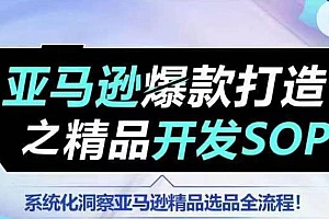 【训练营】亚马逊爆款打造之精品开发SOP,系统化洞察亚马逊精品选品全流程