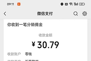 2024最新手机看广告项目,单手机日入20-30+,零门槛,只需一部安卓手机,小白专属