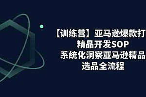 亚马逊爆款打造之精品开发SOP【训练营】,系统化洞察亚马逊精品选品全流程