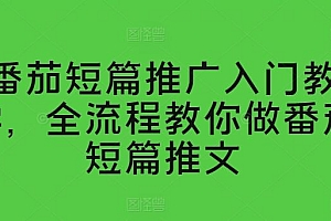 番茄短篇推广入门教学,全流程教你做番茄短篇推文