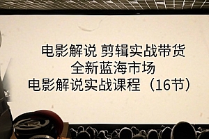 (11367期)电影解说 剪辑实战带货全新蓝海市场,电影解说实战课程(16节)
