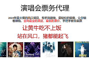 2024年最火爆风口项目,演唱会票务代理,日入2000+,一部手机就能搞定!