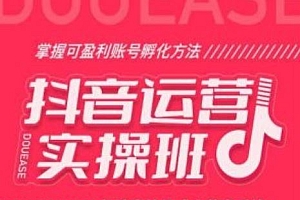 抖音运营实操班,掌握可盈利账号孵化方法,打造高效低成本获客系统