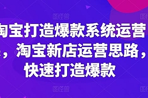 淘宝打造爆款系统运营课,淘宝新店运营思路,快速打造爆款