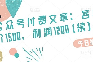某公众号付费文章:客单价1500,利润1200(续),市场几乎可以说是空白的