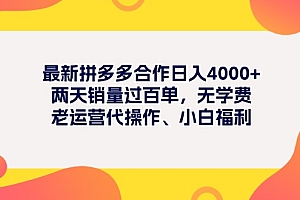 (11410期)最新拼多多项目日入4000+两天销量过百单,无学费、老运营代操作、小白福利