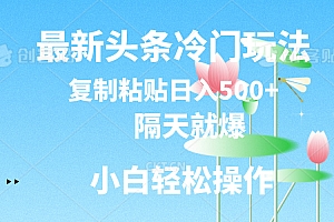 (11414期)最新头条冷门玩法,隔天就爆,复制粘贴日入500+