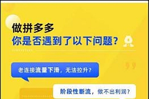 (11435期)拼多多·进阶课:极限拉升/盈利突破:从算法到玩法 从玩法到团队搭建-18节