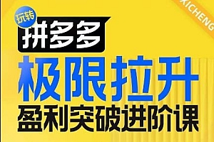 拼多多极限拉升盈利突破进阶课,从算法到玩法,从玩法到团队搭建,体系化系统性帮助商家实现利润提升
