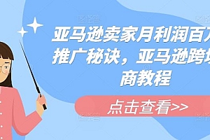 亚马逊卖家月利润百万的推广秘诀,亚马逊跨境电商教程
