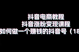 抖音电商教程:抖音涨粉变现课程:如何做一个赚钱的抖音号(18节)