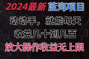 (11470期)有手就行的2024全新蓝海项目,每天1小时收益几十到几百,可放大操作收…