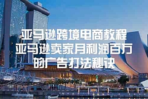 亚马逊跨境电商教程:亚马逊卖家月利润百万的广告打法秘诀