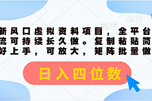 (11509期)最新风口虚拟资料项目,全平台自然流可持续长久做。复制粘贴 日入四位数