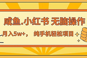 (11524期)2024最赚钱的项目,咸鱼,小红书无脑操作,每单利润500+,轻松月入5万+…