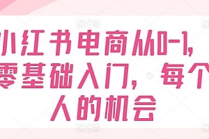 小红书电商从0-1,零基础入门,每个人的机会